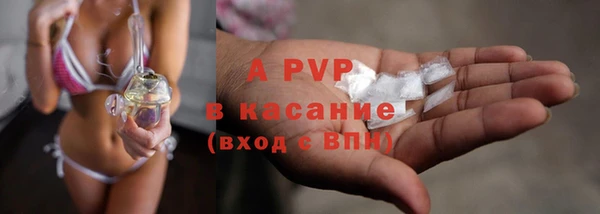 хмурый Абаза
