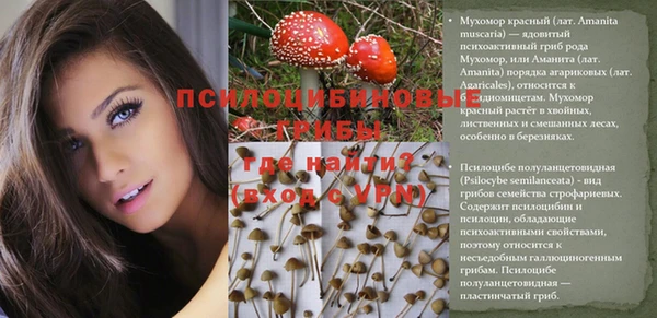 PSILOCYBIN Алексин