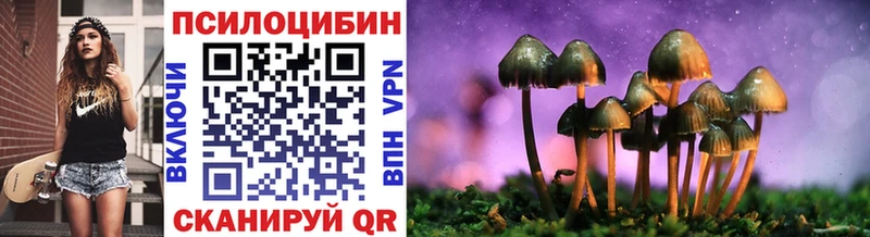 Псилоцибиновые грибы Psilocybine cubensis  kraken онион  Удомля 