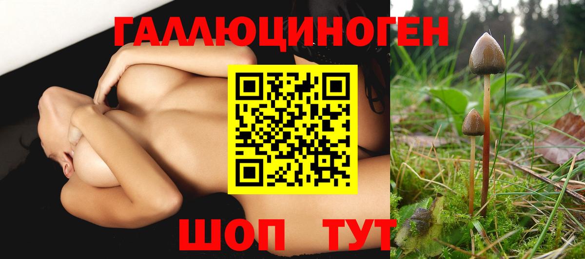 Псилоцибиновые грибы прущие грибы Удомля