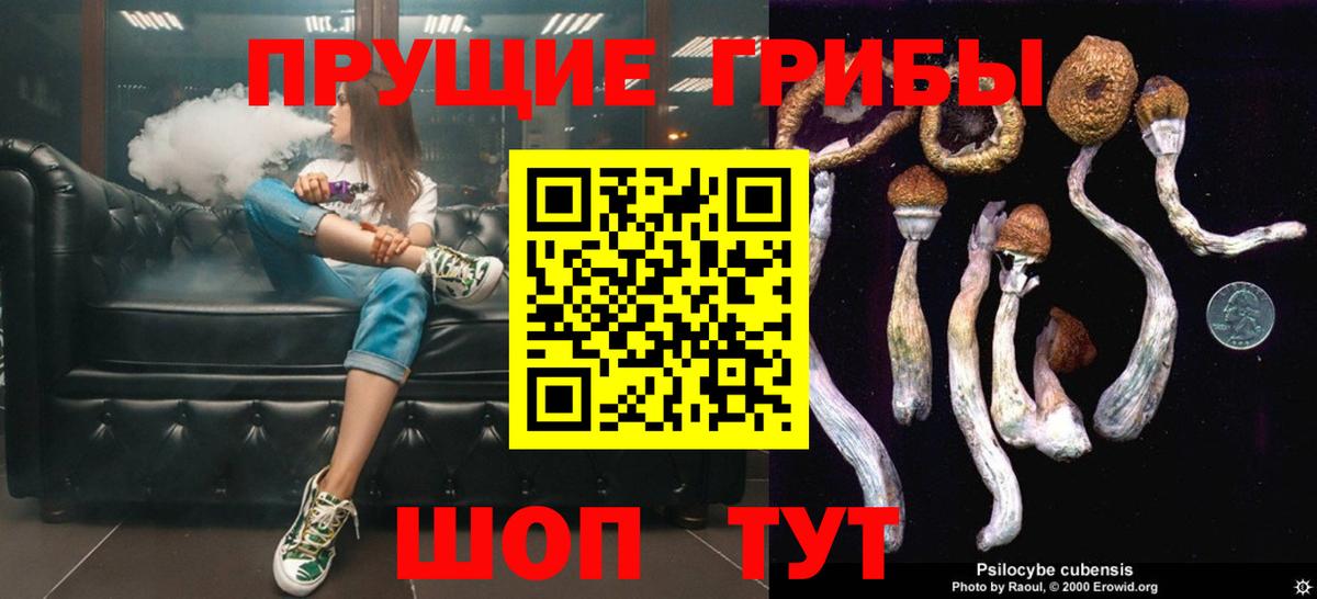 Псилоцибиновые грибы ЛСД  Вход с VPN  Галлюциногенные грибы MAGIC MUSHROOMS  Удомля 